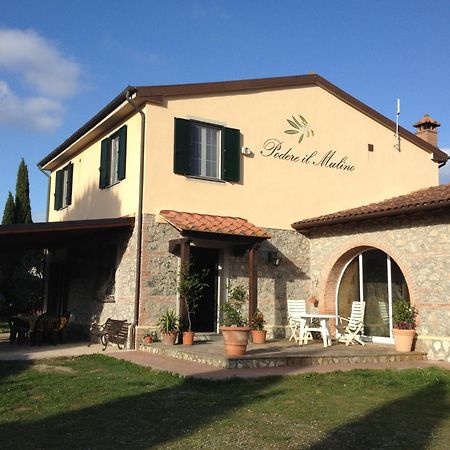 Podere Il Mulino Pieve di Santa Luce Exteriör bild