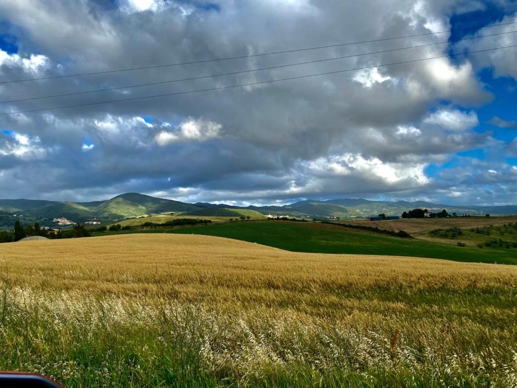 Podere Il Mulino Pieve di Santa Luce Exteriör bild