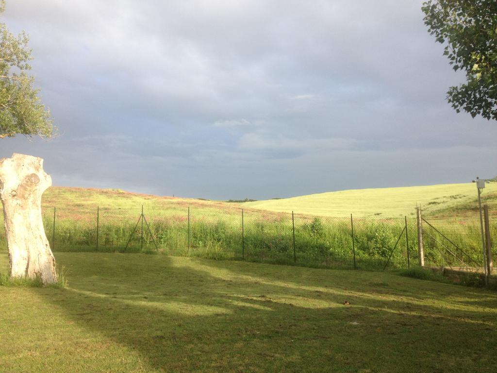 Podere Il Mulino Pieve di Santa Luce Exteriör bild