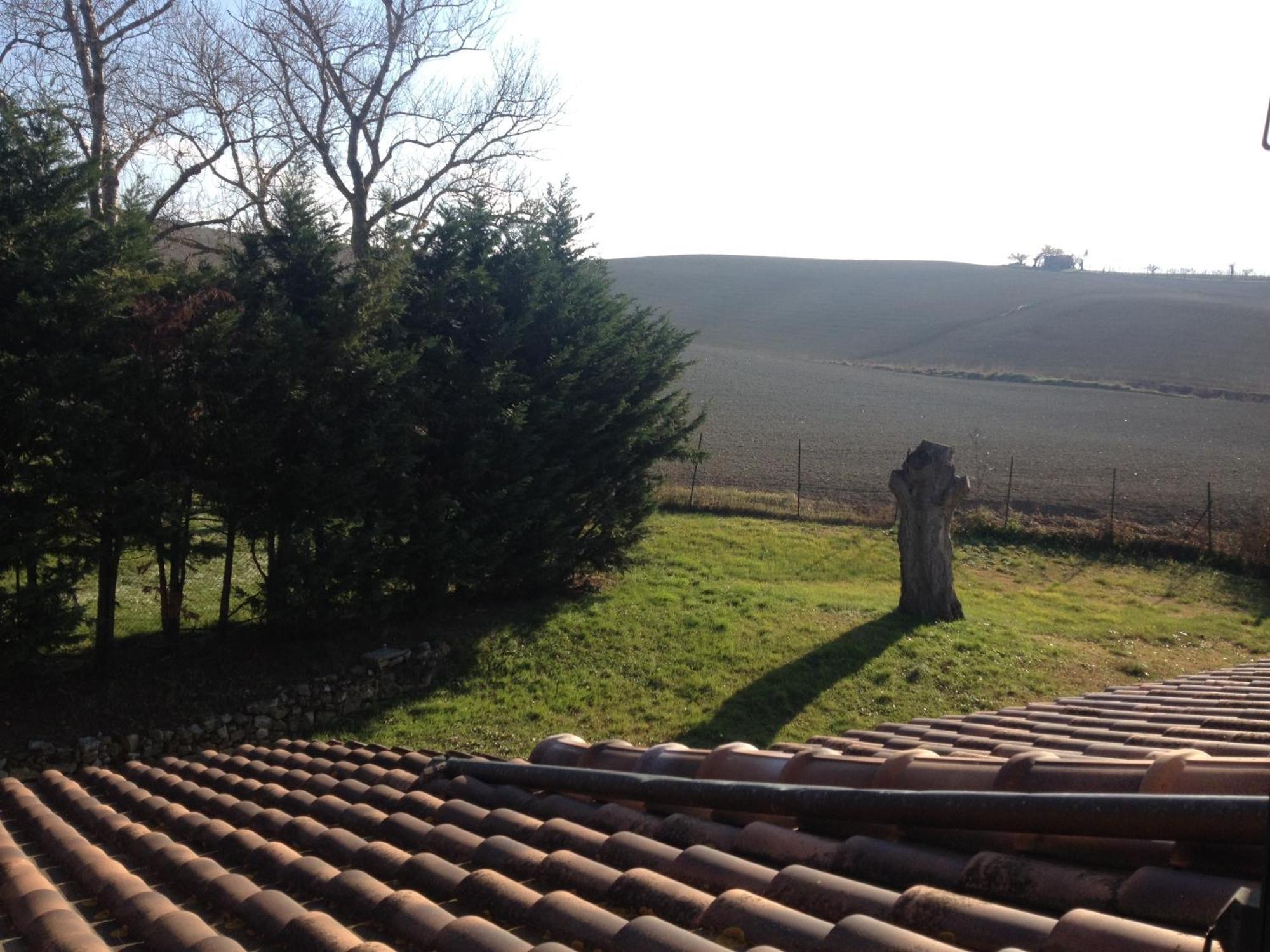 Podere Il Mulino Pieve di Santa Luce Exteriör bild