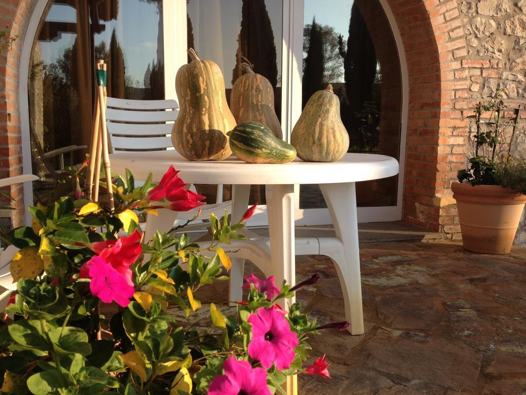 Podere Il Mulino Pieve di Santa Luce Exteriör bild