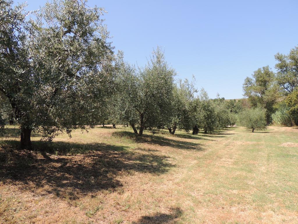 Podere Il Mulino Pieve di Santa Luce Exteriör bild