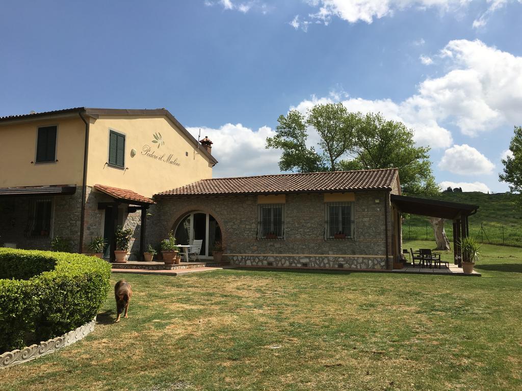 Podere Il Mulino Pieve di Santa Luce Exteriör bild